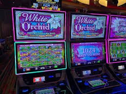 Quantumator meningkatkan multiplier dan wild Karakter Quantumator membantu pemain dengan bonus wild